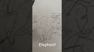 Elephant drawing #youtubeshorts #drawing #viral #art #ytshorts #subscribe #shortsvideo #shorts #fun