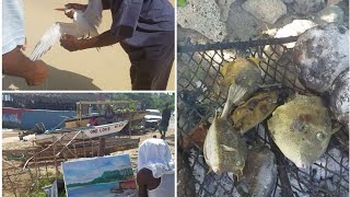 BUSY DAY Painting, Roast Fish, Bird Catch And Release ! #Negril,Jamaica#BeachLife #JamaicaVlog