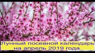 лунный посевной календарь на апрель 2019 года