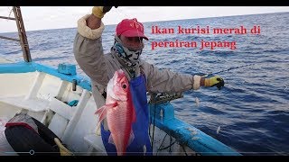 serunya mancing di laut jepang