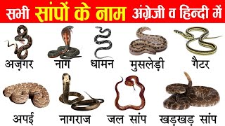 20 Snakes Names in Hindi and English Mein | साँपों के नाम हिंदी औंर अंग्रेजी में | Snakes Vocabulary