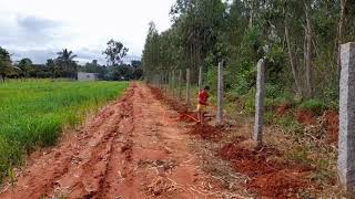 Weekend Farming: Seeding young minds to do the right things - "collaborating with nature"!