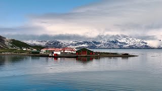 5/5 Grytviken-Shackleton’s grave, St Andrew's Bay, South Georgia. @5:40 Penguins stood their ground