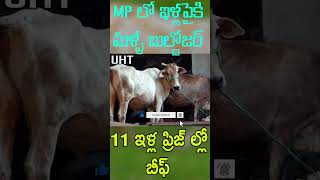 MP లో  మళ్ళీ ఇళ్ల పైకి బుల్డోజర్ 11 ప్రిజ్ ల్లో బీఫ్ ||11HOSES DEMOLISHED BY BULDOZER IN MP