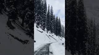 fresh snowfall to way paradise of kishtwar Machail #snowfall #viral #viralshort #paddar