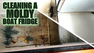 Cleaning A Moldy Boat Fridge | Sailboat Story 195