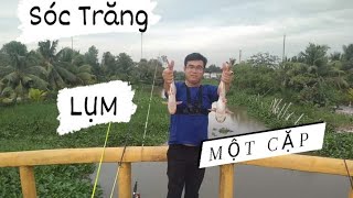 Câu Cá Tra Sông/ Phát Hiện Điểm Câu Mới Cá Tra Mới Lên Luôn Một Cặp @minhcanhfishing