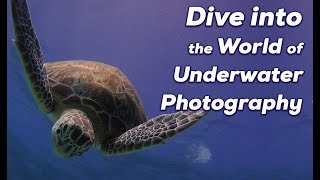 First underwater photography course in Cancun  by Luis Javier Sandoval