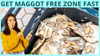 What Kills Maggots Instantly -  Super Easy & Effective Solutions