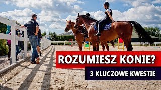 Czy rozumiesz konie? 3 ważne kwestie!