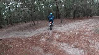 Riding at Croom 11/22/20