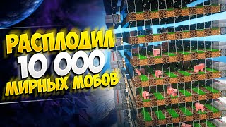 АНАРХИЯ - БЕЗУМНЕЙШАЯ ИДЕЯ ДЛЯ ФАРМИЛКИ МИРНЫХ МОБОВ