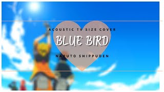 【Amii*Rin】Blue Bird【Acoustic TV-Size Cover】