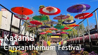 Kasama Chrysanthemum Festival(笠間の菊まつり)