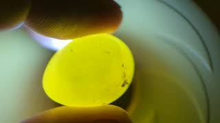 Detached air cell in a quail egg