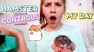 Hamster Controls My Life!