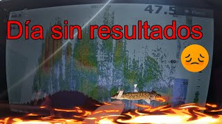 Dia sin resultados