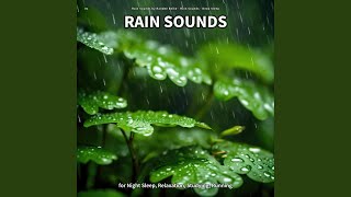 Affectionate Rain Sound