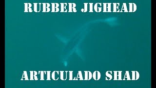 Test RubberJighead + Articulado Shad  CYL