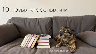 новые книги из Петербурга и Белграда (2)