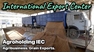 Business Agriculture. Agroholding IEC. Export Business. Agribusiness.