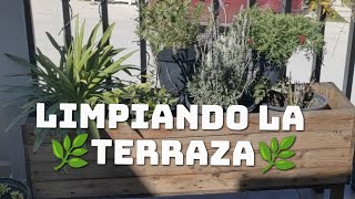 Limpiando mi jardín después de una semana de lluvias intensas #plantas #jardin