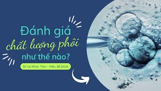 #67 Phôi loại 1, loại 2, loại 3 là gì? Đánh giá chất lượng phôi trong IVF