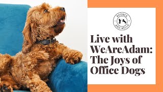 Live with WeAreAdam: The Joys of Office Dogs