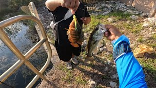 Fishing with NEW TACKLE for whatever bites! in lee county  (surprising catch)