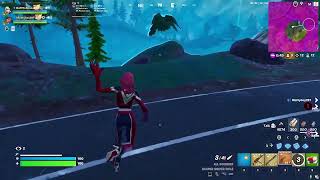 Fortnite (Streaming everyday until I hit 1k subs)