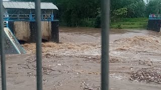 Air Sungai Bedadung Sedang Naik Hati Hati Rawan Banjir