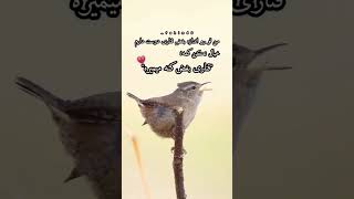 بفرست براش ☺️🙏تازه کانالمو زدم لطفاً حمایت کنید دوستان ☹️😢لایک چسابسکرایب یادت نره #foryou #viral