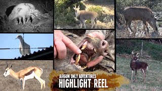 Airgun Hunting Highlight Reel