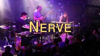 Jojo Mayer & Nerve Live - Seattle