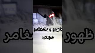 جن يظهر لمغامر في مكان مهجور ما فعله صادم #sorts