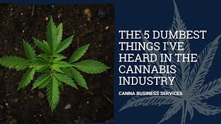 The 5 Dumbest Things I've Heard in the Cannabis Industry