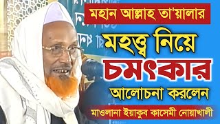 বুড়া বয়সে মহান আল্লাহর মহত্ত্ব নিয়ে চমৎকার ওয়াজ মাওলানা ইয়াকুব কাসেমী নোয়াখালী Yakub Al Kasemi