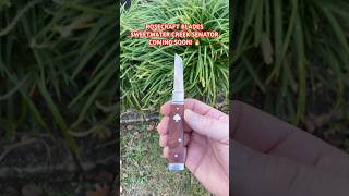 ROSECRAFT BLADES SWEETWATER CREEK SENATOR 🌹⚔️🔥 #youtubeshorts #blade #edc