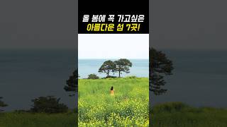 3월에 가고싶은 한국의 아름다운 섬 TOP7