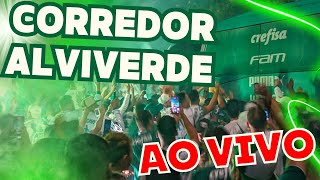 CORREDOR ALVIVERDE AO VIVO - PALMEIRAS X BOTAFOGO - LIBERTADORES 2024