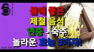 몸에 좋은 제철 음식 연중 - 숙주 놀라운 효능 5가지!