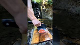 Fish 🐟 can keep healthy || #ytshorts #shorts #facts #shortsfeed #viralvideos #shortvideo