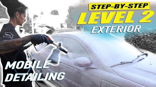 How To - Level 2 Exterior Detail - Mobile Car Detailing