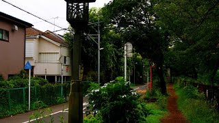 Summer Night Walk Around Suburban Tokyo, Japan • 4K HDR