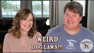 MORE Weird Dog Laws in the U.S.A. | Dog Safety & Behavior | DogBoy's Dog Vlog