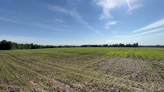 Shelby County Land iAuction - Light Farm