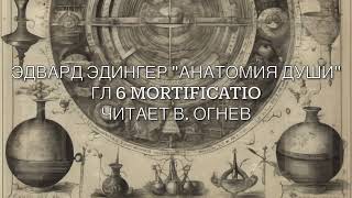 Эдвард Эдингер "Анатомия Души" гл 6 Mortificatio читает В.Огнев