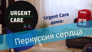 Перкуссия (определение границ) сердца (Аккредитация СПО)