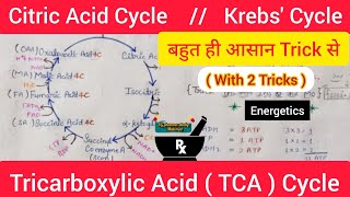 Citric Acid Cycle ll बहुत ही आसान Trick से // TCA Cycle // Krebs' Cycle // With 2 Tricks llSG Pharma