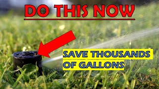 How To Water St. Augustine Grass | Do THIS & Save THOUSANDS of Gallons of Water